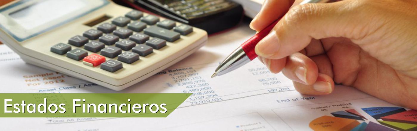 Sección de Estados Financieros